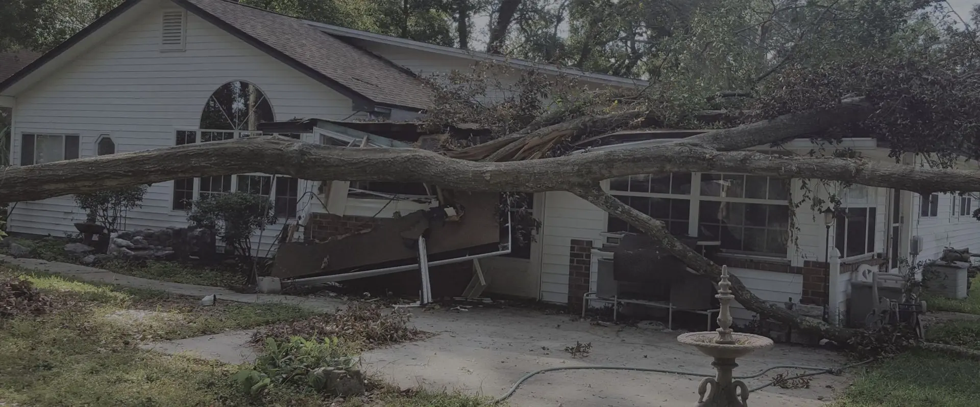 A tree that has fallen over the roof of a house.