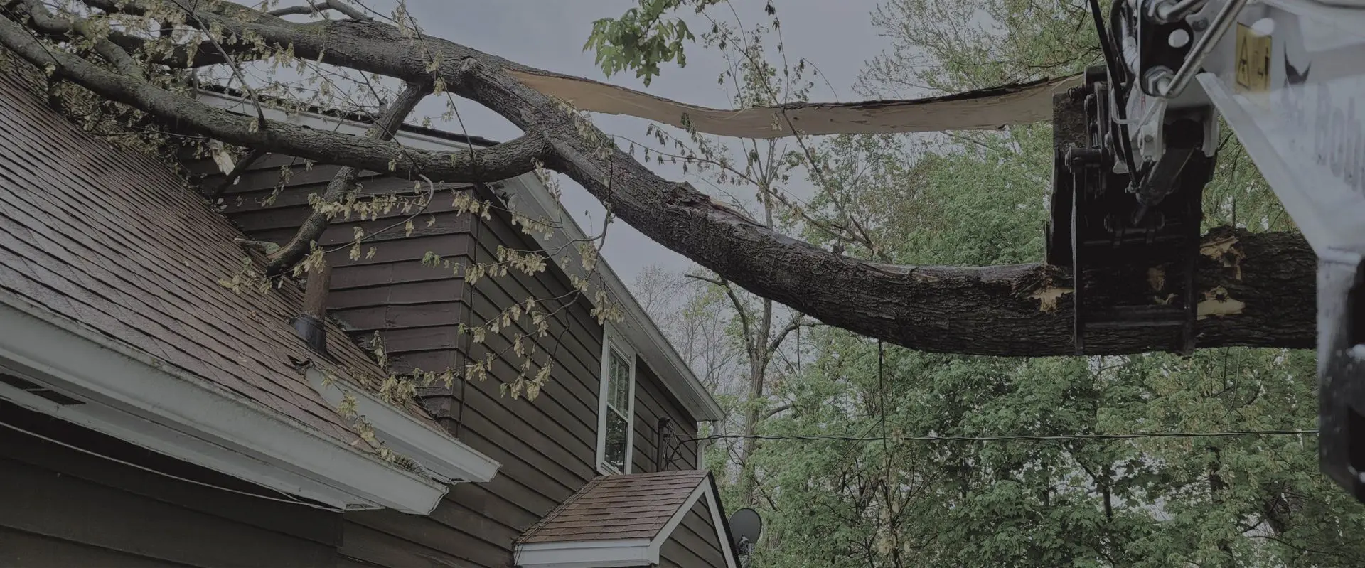 A tree that has fallen over on the roof of a house.