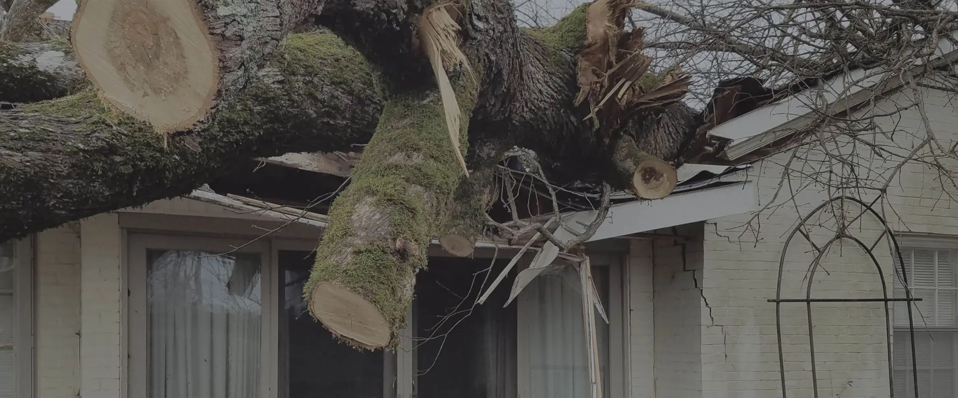 A tree that has been cut down and is hanging from the roof.