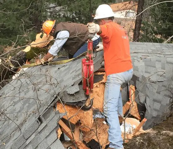 Two men working on a roof with some trees in the background