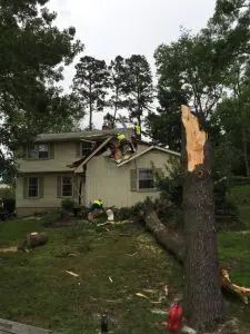 A house that has been cut down by trees.